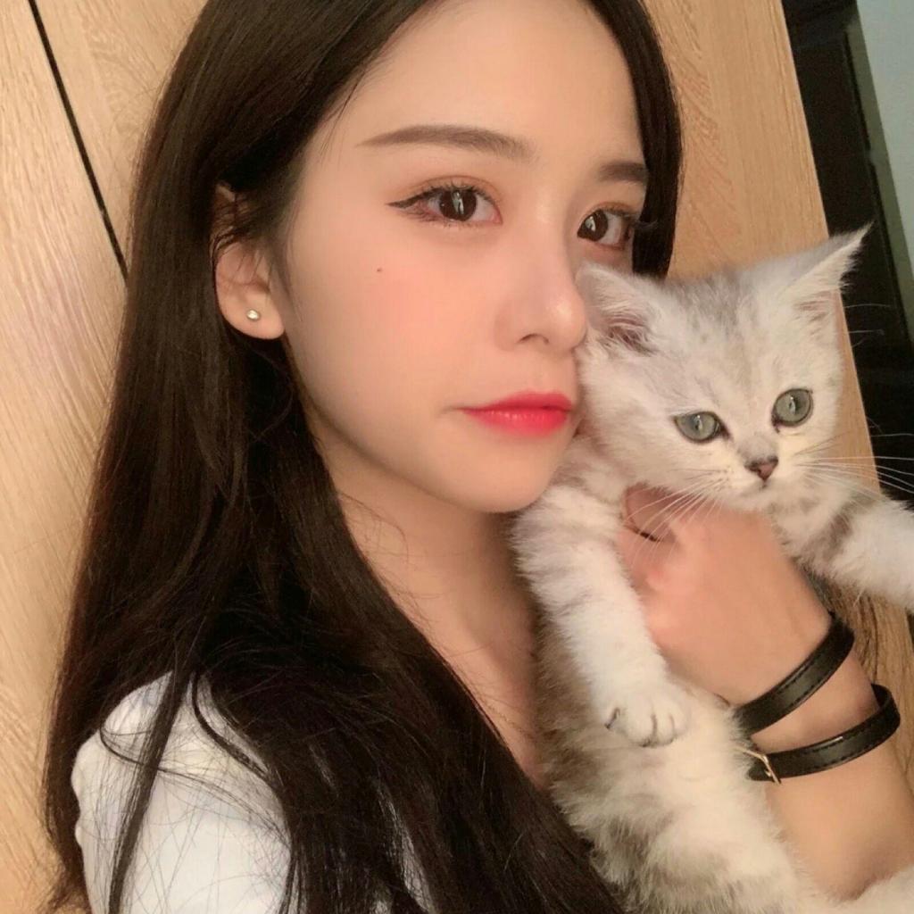 2023年香港资料精准手机app下载