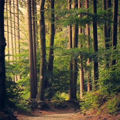 乐发大众彩票app下载安装